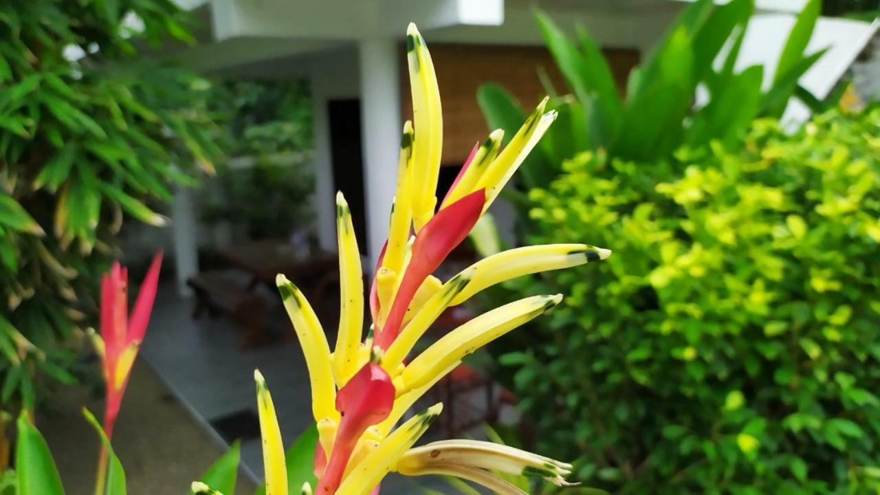 Sunbeam Villa Tangalle Kültér fotó